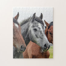 Paardenpuzzle
