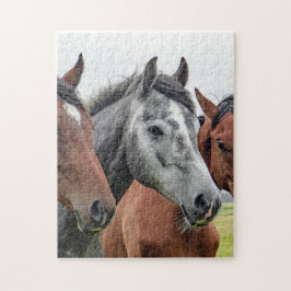 Paardenpuzzle Legpuzzel