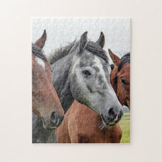 Paardenpuzzle Legpuzzel