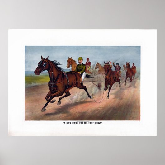  paardenracebedrukking poster (Voorkant)