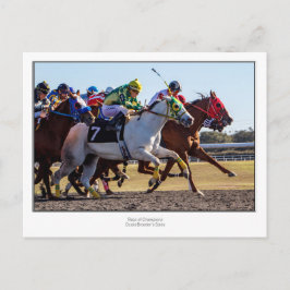 paardenraces briefkaart