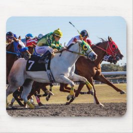 paardenraces muismat