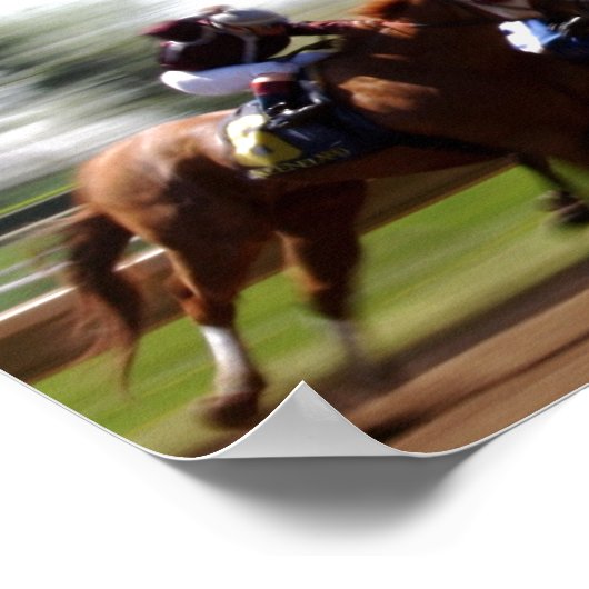 Paardenraces (Poster) Poster (Hoek)