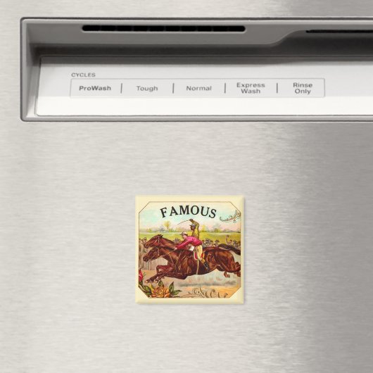  paardenracestoornis op de rails magneet (Insitu (Vaatwasser))