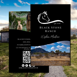 Paardenranch logo equestrian brandingadres flyer