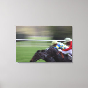 paardenras 3 canvas afdruk