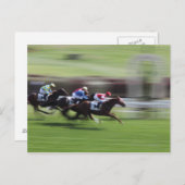 paardenras briefkaart (Voorkant / Achterkant)