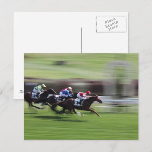 paardenras briefkaart (Voorkant / Achterkant)