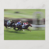 paardenras briefkaart (Voorkant)