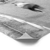 Paardenras in New Orleans, 1906.  foto Poster (Hoek)