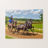 paardenras legpuzzel (Horizontaal)