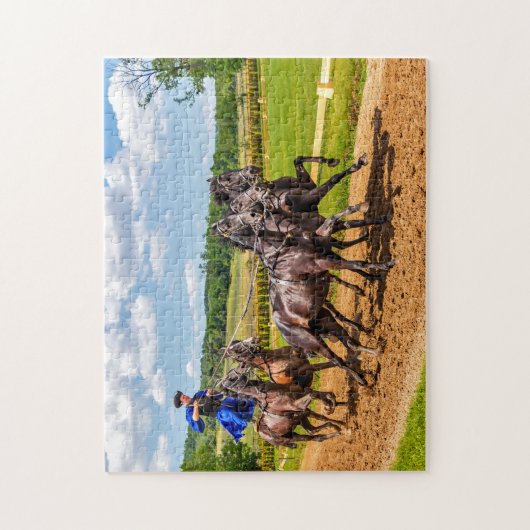 paardenras legpuzzel (Verticaal)