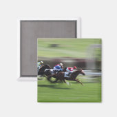 paardenras magneet (Voorkant / Achterkant)