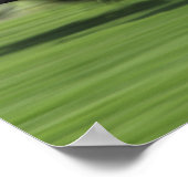 paardenras poster (Hoek)