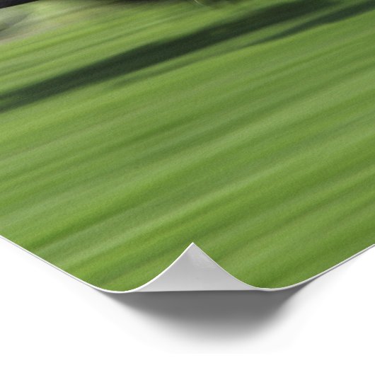 paardenras poster (Hoek)