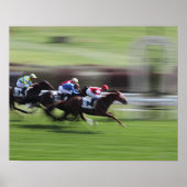 paardenras poster (Voorkant)