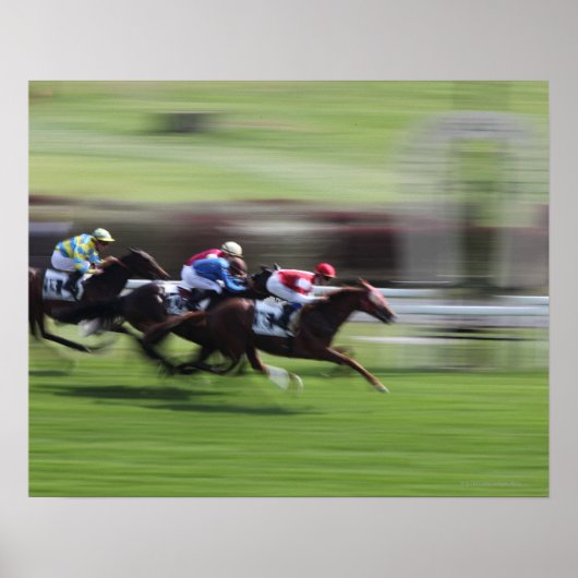 paardenras poster (Voorkant)