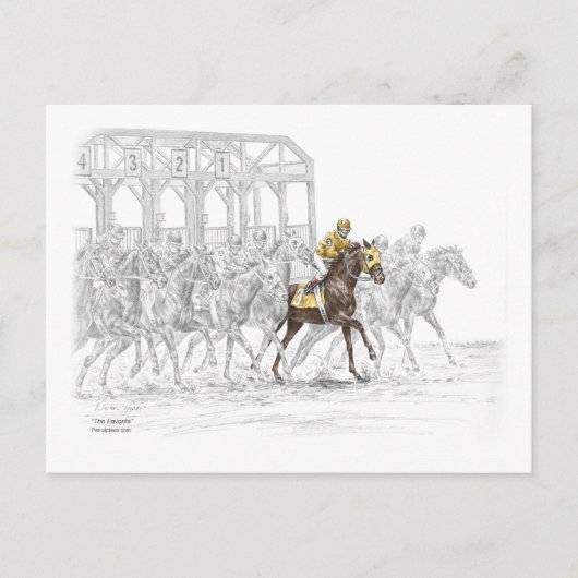 Paardenras Startpoort Briefkaart (Voorkant)