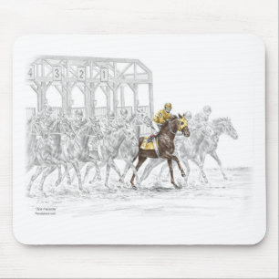 Paardenras Startpoort Muismat