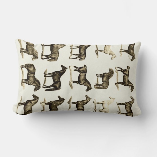  Paardenrassen Grafiek print kussens kussens (Voorkant)