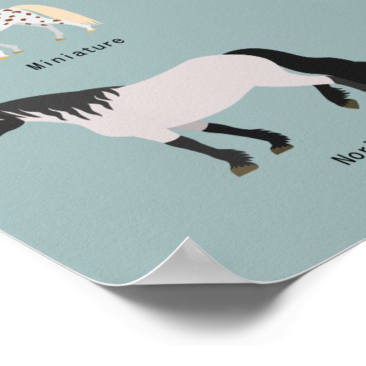 paardenrassen poster (Hoek)