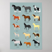 paardenrassen poster (Voorkant)