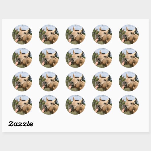 Paardenrazzberry sticker (Vel)