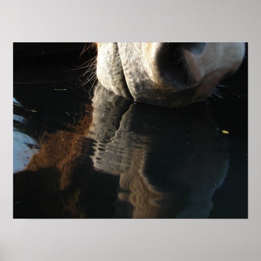 Paardenreflectie Drinken Poster (Voorkant)
