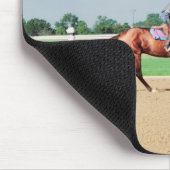 Paardenrennen Muismat (Hoek)