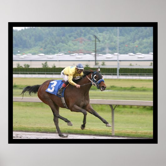 Paardenrennen Poster (Voorkant)