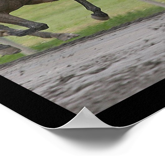 Paardenrennen Poster (Hoek)