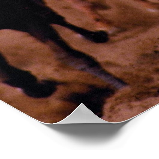 Paardenrennen Poster (Hoek)