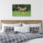 Paardenrennen van Appaloosa Canvas Afdruk (Insitu (Slaapkamer))