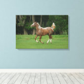 Paardenrennen van Appaloosa Canvas Afdruk (Insitu (Houten vloer))