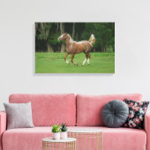 Paardenrennen van Appaloosa Canvas Afdruk (Insitu (Woonkamer))