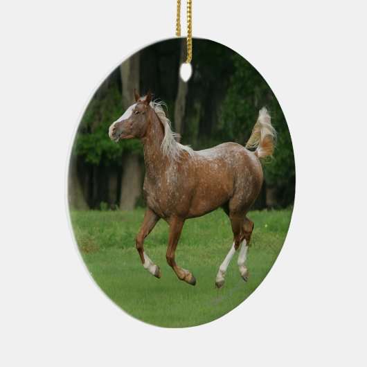 Paardenrennen van Appaloosa Keramisch Ornament (Rechts)