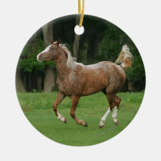Paardenrennen van Appaloosa Keramisch Ornament (Voorkant)