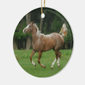 Paardenrennen van Appaloosa Keramisch Ornament (Links)