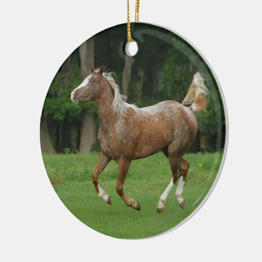 Paardenrennen van Appaloosa Keramisch Ornament (Links)
