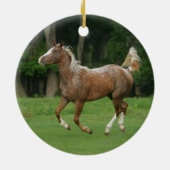 Paardenrennen van Appaloosa Keramisch Ornament (Achterkant)