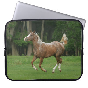 Paardenrennen van Appaloosa Laptop Sleeve