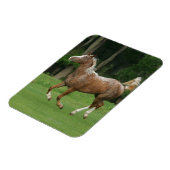 Paardenrennen van Appaloosa Magneet (Linkerzijde)