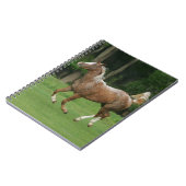 Paardenrennen van Appaloosa Notitieboek (Linkerzijde)