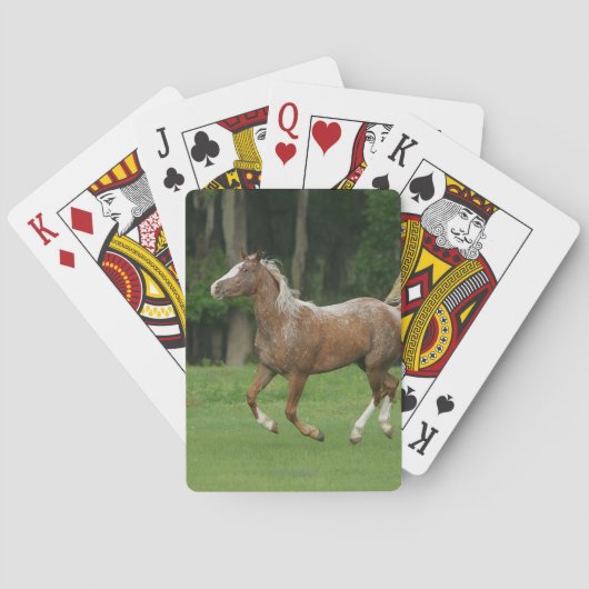 Paardenrennen van Appaloosa Pokerkaarten (Achterkant)