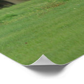 Paardenrennen van Appaloosa Poster (Hoek)