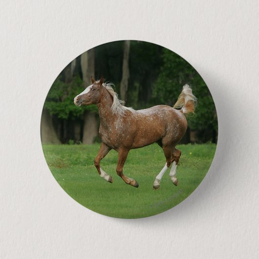 Paardenrennen van Appaloosa Ronde Button 5,7 Cm (Voorkant)