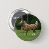 Paardenrennen van Appaloosa Ronde Button 5,7 Cm (Voorkant /achterkant)