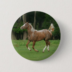 Paardenrennen van Appaloosa Ronde Button 5,7 Cm