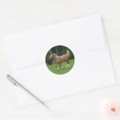 Paardenrennen van Appaloosa Ronde Sticker (Envelop)