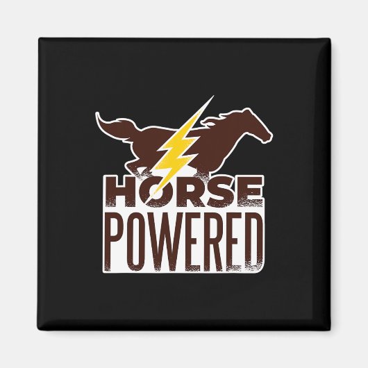 Paardenriemen aangedreven magneet (Voorkant)
